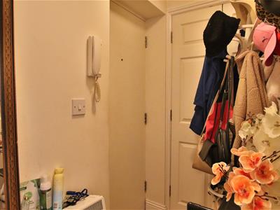Picture 12